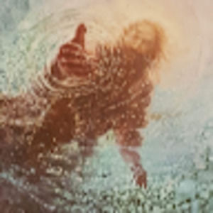 Meet your Posher, Spencer